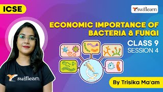 Economic Importance Of Bacteria amp Fungi  Importance of Fungi  Class 9 Biology  S4Swiflearn [upl. by Eixela]