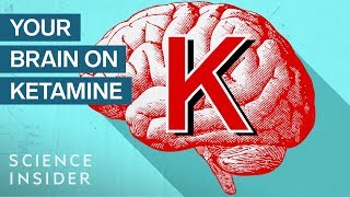 What Ketamine Actually Does To Your Brain  Insider Science [upl. by Meer861]