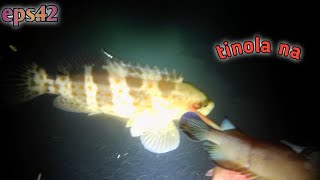 eps42NightSpearfishing Bucas Grande Island SDN [upl. by Ecinert840]