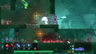 Dead Cells PS5 My Dog Pinkys 16th Birthday [upl. by Origra]