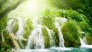 Most relaxing Music ever  Rain Forest Meditation [upl. by Tyler]