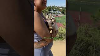 Couple Finds An Abandoned Bunny On Their Walk  The Dodo [upl. by Faux]