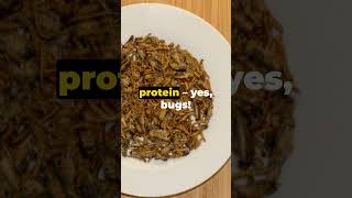 Unusual Protein Sources Spirulina Hemp Seeds and Insect Protein [upl. by Bik842]