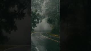 rain in the forestsad bgm [upl. by Nylrac371]