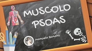 MUSCOLO PSOAS cosa fa e come si allunga [upl. by Marcile38]