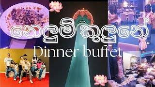 නෙලුම් කුළුණේ සුපිරි Dinner buffet  An Unforgettable Experience at Nelum Kuluna Blue Orbit [upl. by Glover]