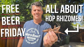 How to Plant Hop Rhizomes to Grow Hops for Homebrewing  Free Beer Friday [upl. by Hoffman]