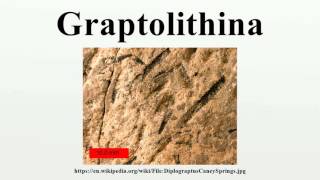 Graptolithina [upl. by Atimad]