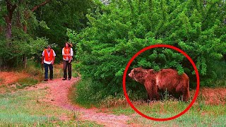 8 ENCUENTROS con OSOS CAPTADOS en VÍDEO [upl. by Nirual844]