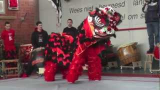 Chinese New Year 2013  Lion Dance [upl. by Kristoffer]