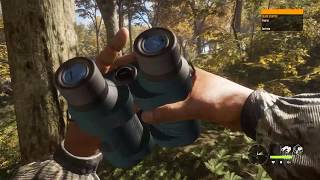 theHunter Call of the Wild  Some interesting Multiplayer Bugs [upl. by Wenz]