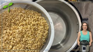 How to Cook Oat Groats in Instant Pot in 25 minutes So Easy [upl. by Ycniuq]