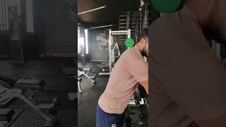 Best Bicep workout with dumbbells  forarms workout  hammer curl with reverse curl back to back [upl. by Anidam]