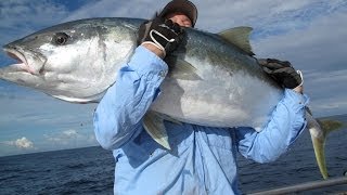 Three Kings New Zealand  Monster Kingfish Bass amp Broadbill Swordfish aboard Enchanter [upl. by Nixie119]