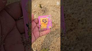 Finding gummy candy snacks in the sand on the beach shorts shortvideo viralvideo [upl. by Nyleek500]