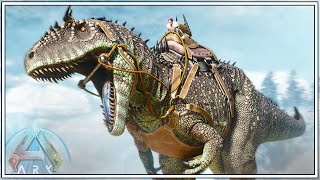 WE TAME THE MIGHTY CARCHARODONTOSAURUS   ARK SURVIVAL ASCENDED EPISODE 73 [upl. by Ainesy]