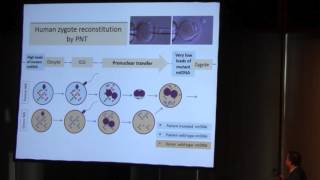 Techniques in Germinal Vesicle Spindle and Pronuclear Transfer  Hui Liu [upl. by Dalila]