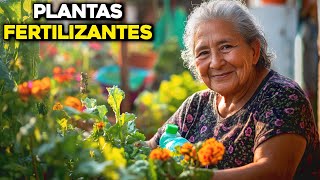 Cómo Usar Plantas Compañeras Como Fertilizantes Naturales [upl. by Nolasba801]