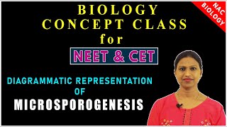 Sexual Reproduction in Flowering Plants  One Shot Revision Part 1  Class 12 Biology Chapter 1 [upl. by Hamlet392]