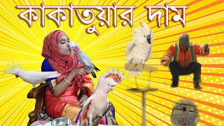 Cockatoo Price in Bangladesh [upl. by Nagle]