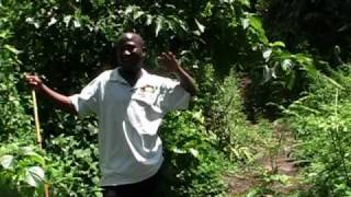 uganda documentary episode 5  rwenzori mountains [upl. by Sile]