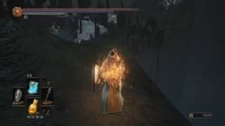 Dark Souls 3 DLC 2 Ringed City Partake Skip 다크 소울 3 DLC 2 미디르 스킵 [upl. by Frida]