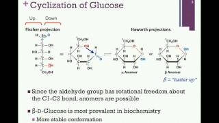 075Cyclization of Sugars [upl. by Euqina]