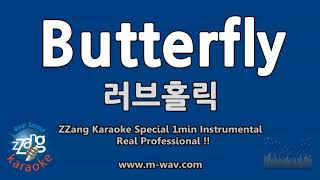 러브홀릭Butterfly 국가대표 OST 1 Minute Instrumental ZZang KARAOKE [upl. by Edniya]