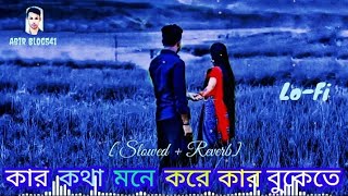 কার কথা মনে করেন কার বুকেতে হাসো Kar Kotah Mone Kore Slowed Reverb LoFi Bangla Song New 2025 [upl. by Dacia]