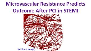 Microvascular Resistance Predicts Outcome After PCI in STEMI [upl. by Euqinitram606]