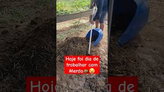 Hoje foi dia de trabalho Sujo 💩😂😂 jardelnocampo gado pecuaria [upl. by Frear]