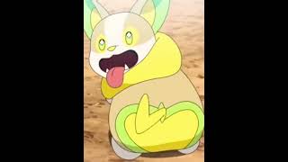 Yamper edit 💛 pokemon pokemonanime anime yamper pokemonjourneys galarpokemon galar [upl. by Natanoy]