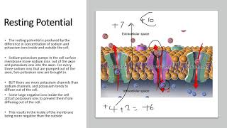 Chapter 152 Generation and Transmission of Action Potentials [upl. by Jayson]