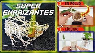 ⚠️⚠️ SuPeR EnRaIZaNTe NaTuRaL l 2 FoRMaS DE HaCeRLo Sólido y Líquido  Hormonas enraizantes [upl. by Aliek]