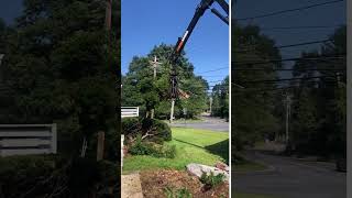 Shrub Removal in Tyngsboro MA [upl. by Patience]