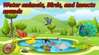 Water animals Birds and insects sound animalsounds birds insects [upl. by Ayocat]