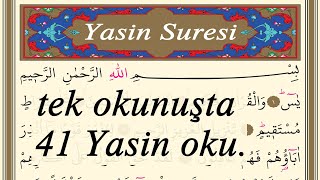 tek okunuşta 41 Yasini Serif oku 19 dakika [upl. by Anairol670]