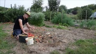 Le Potager du Paresseux  comment valoriser les déchets ménagers sans composter 12 sept 2017 [upl. by Valdes]