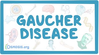 Gaucher disease  causes symptoms diagnosis treatment pathology [upl. by Graeme]