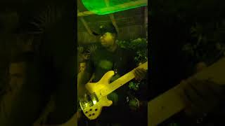 Música Lodebar nunca mais forrózinho simião Henrique Bass cover [upl. by Naujal]