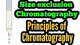 Part6 Principles of chromatography  Affinity chromatography  Chromatography [upl. by Home]