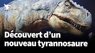 Un cousin du tyrannosaure découvert… en Normandie [upl. by Gnilrac261]