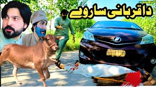 Da Qurbani Sarway Islahi Video By PK Plus Vines 2024  pk plus [upl. by Hagan]