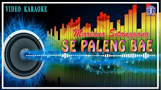 Se Paleng Bae Official Video Karaoke  Mariana Sitanggang [upl. by Gavra]