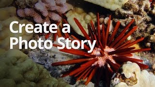 WeVideo Lesson Create a photo story on WeVideo [upl. by Esch]