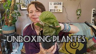 121 Unboxing plantes  123plantesdinterieur [upl. by Bullard814]