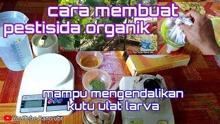 cara membuat pestisida organik mampu mengendalikan serangga kutu ulat larva [upl. by Tita]