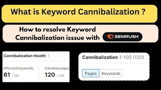 Complete Keyword Cannibalization Issue Explain in Hindi 2024  What is Keyword Cannibalization 2024 [upl. by Behka]