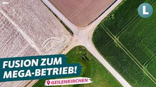 6 Landwirte teilen sich 800 Hektar 🤔 Neues Konzept Sharecropping  WDR Lokalzeit LandSchafft [upl. by Rosa]