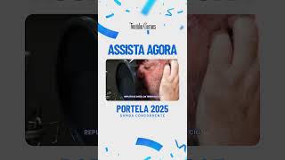 Portela 2025  Samba Concorrente  Assista agora [upl. by Enomal889]